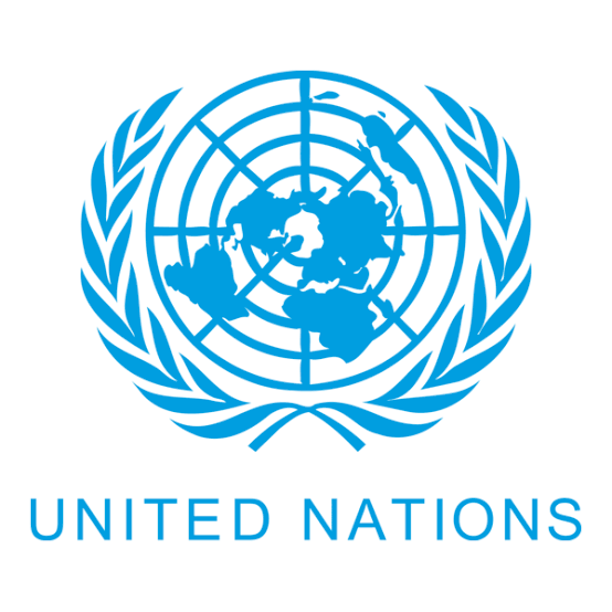 UN Secretary-General: Ahiakwo Urges Nigeria To Consider Support for Nigerian Candidate
